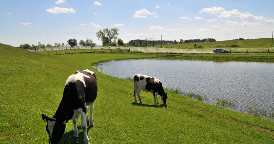 Rajd Warmiński 2010